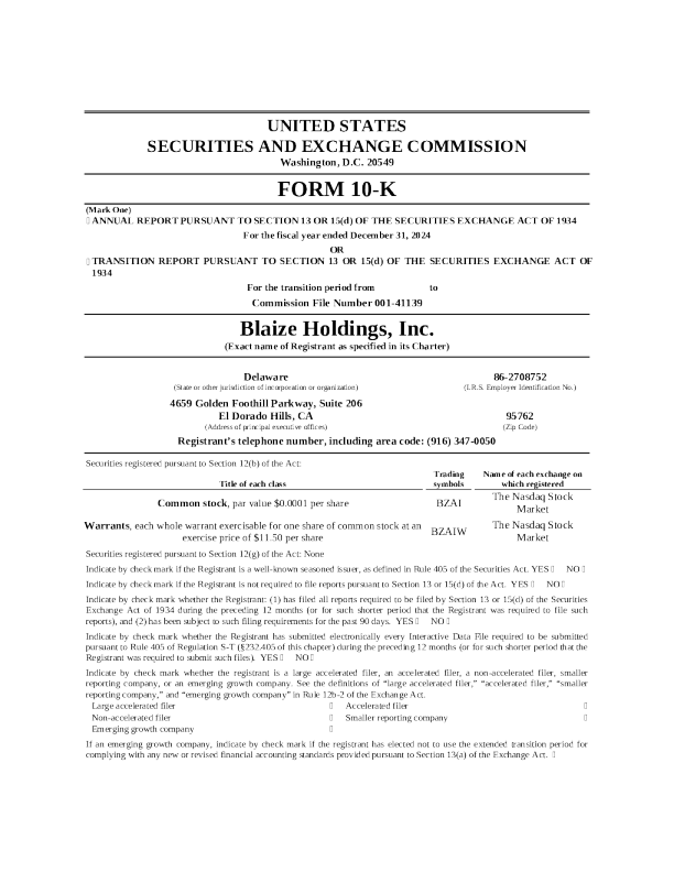 Blaize Holdings Inc 2024年度报告