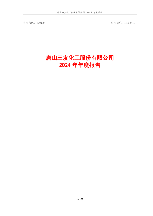 三友化工:2024年年度报告