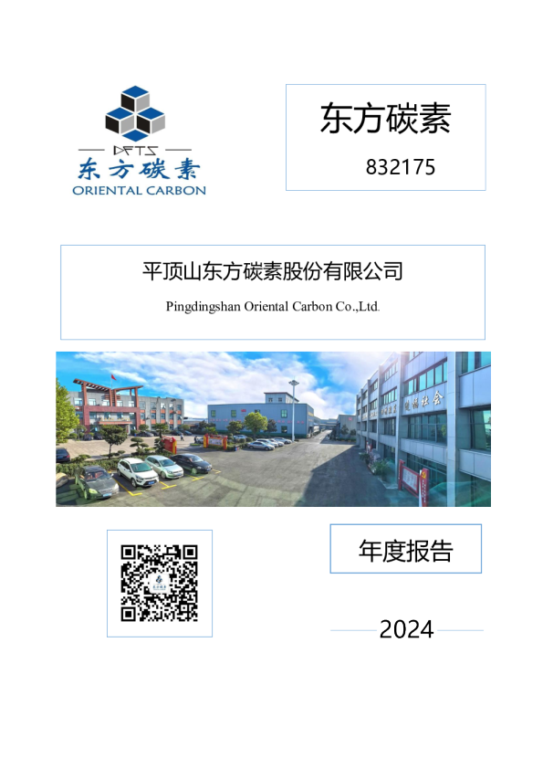 东方碳素：2024年年度报告
