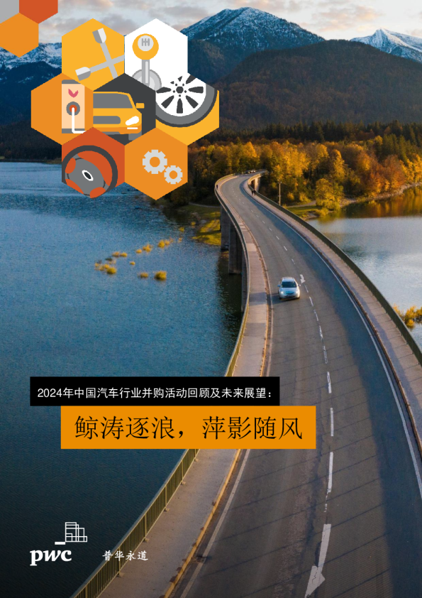 2024年中国汽车行业并购活动回顾及未来展望：鲸涛逐浪，萍影随风