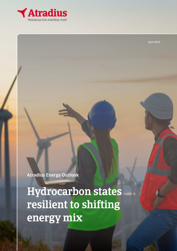 油气依赖国在能源转型中具备韧性