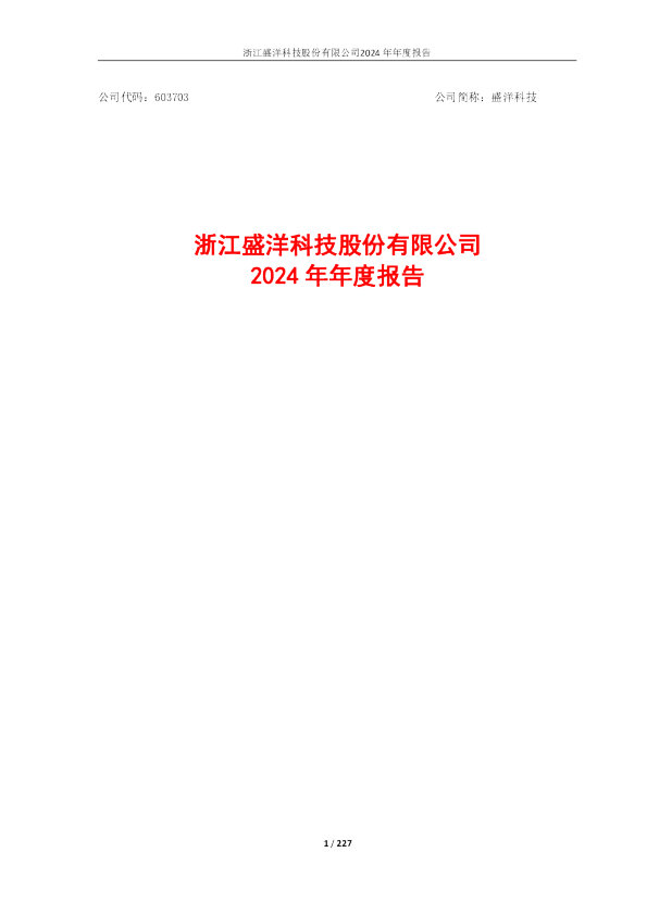 盛洋科技:盛洋科技2024年年度报告