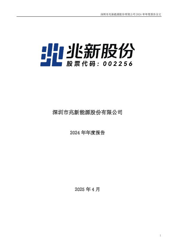 兆新股份：2024年年度报告