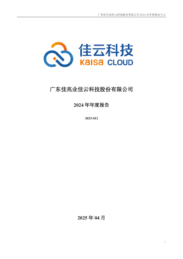 佳云科技:2024年年度报告