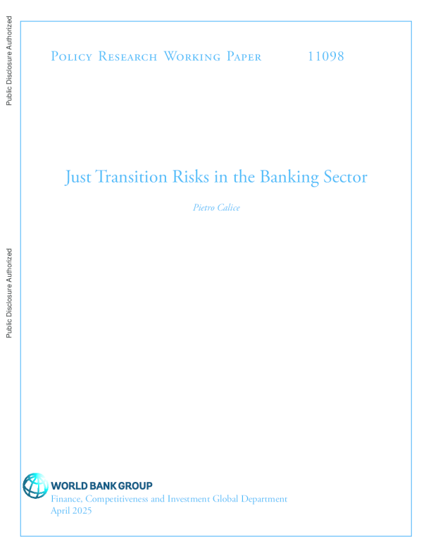 银行业的转型风险（英）