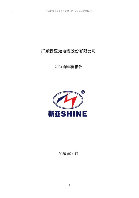 新亚电缆:2024年年度报告