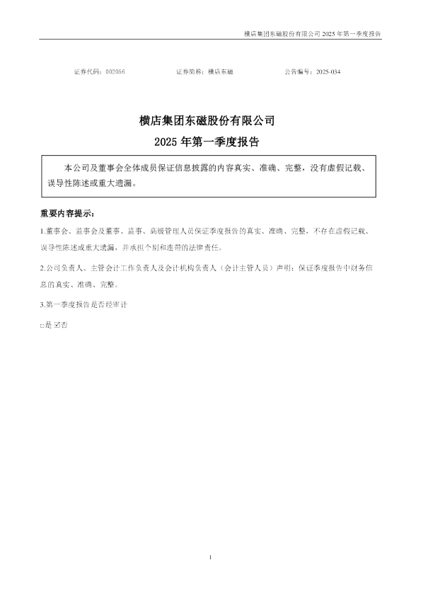 横店东磁：2025年一季度报告