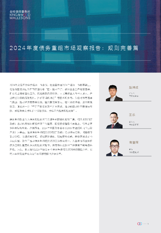 2024年度债务重组市场观察报告：规则完善篇