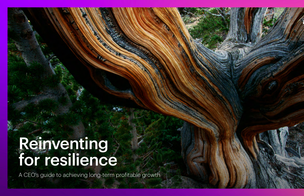 重塑韧性：CEO指南