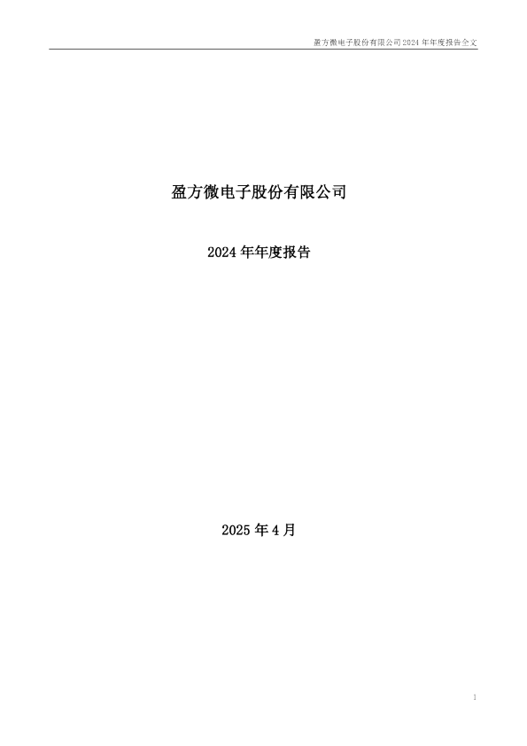 盈方微：2024年年度报告