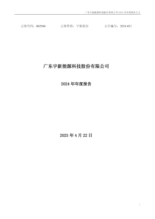 宇新股份:2024年年度报告