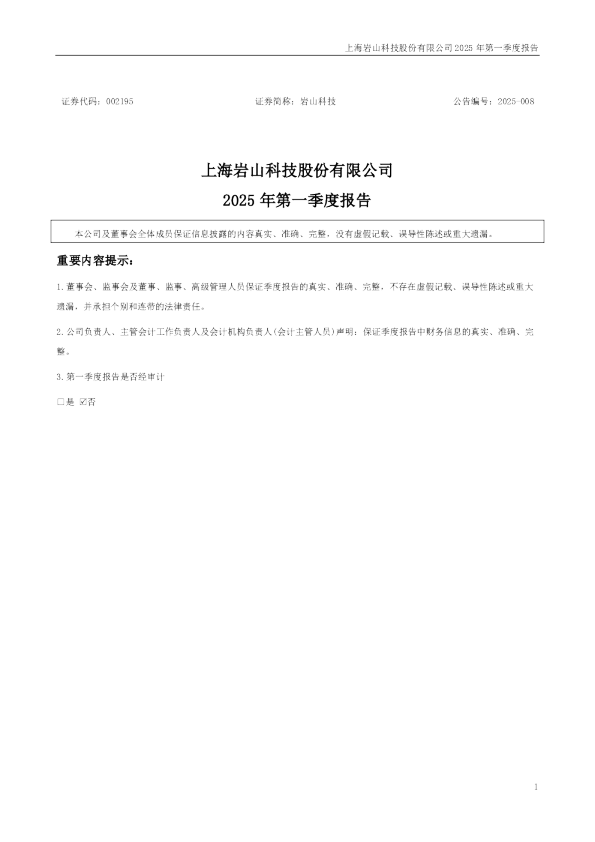 岩山科技：2025年一季度报告