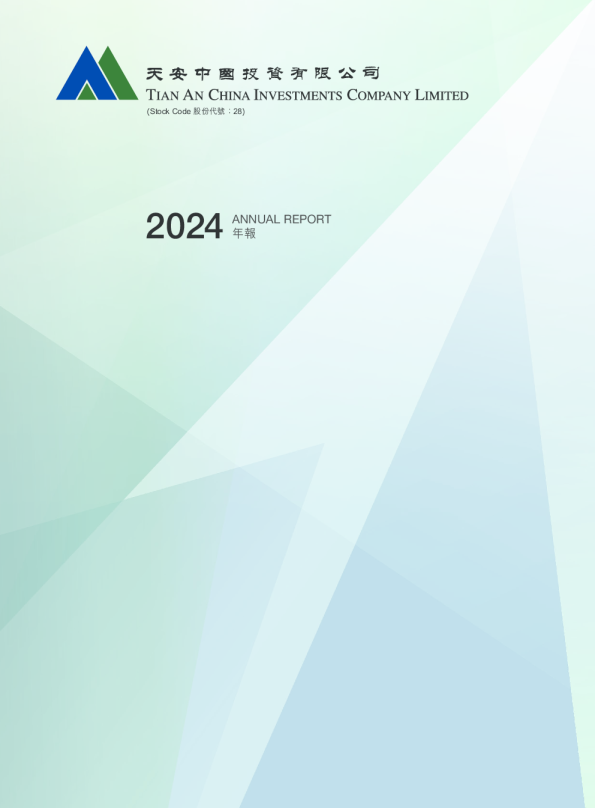 天安二零二四年年报