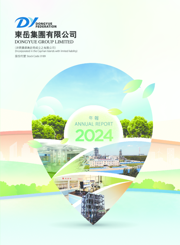 东岳集团2024年报