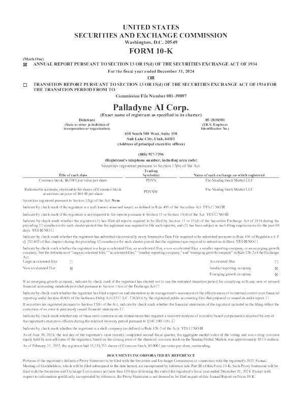 Palladyne AI Corp 2024年度报告