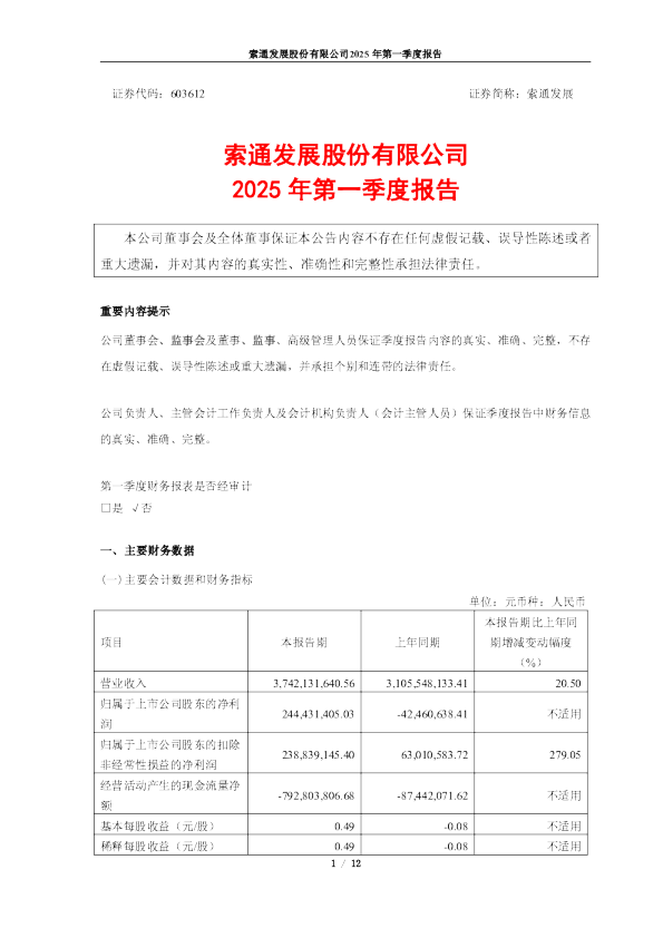 索通发展:索通发展股份有限公司2025年第一季度报告