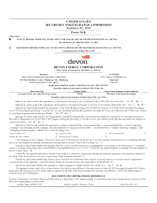 戴文能源 2024年度报告