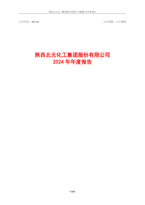 北元集团：陕西北元化工集团股份有限公司2024年年度报告