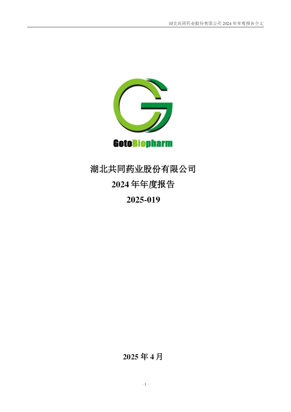 共同药业：2024年年度报告