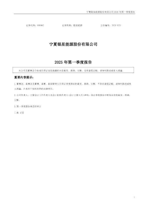 银星能源：2025年一季度报告