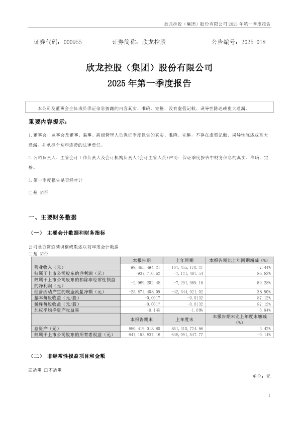 欣龙控股：2025年一季度报告