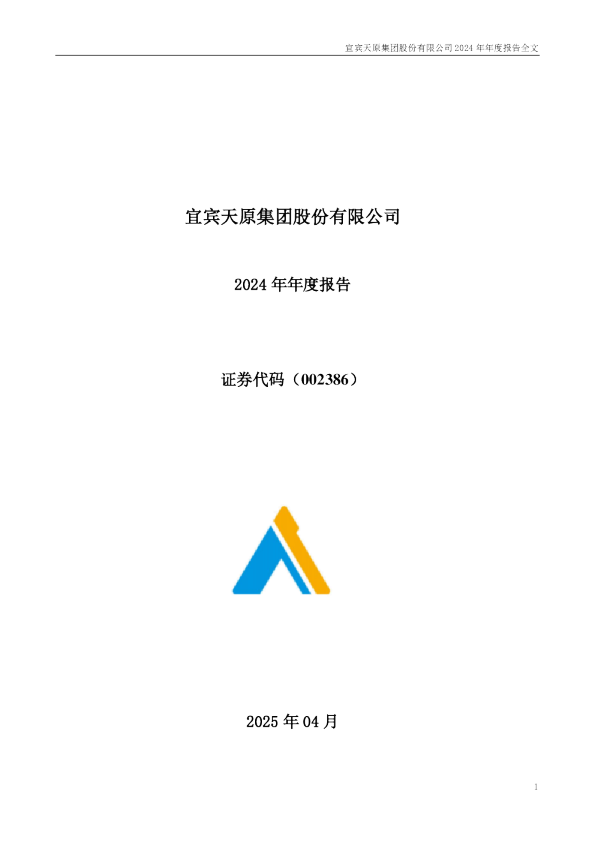 天原股份：2024年年度报告