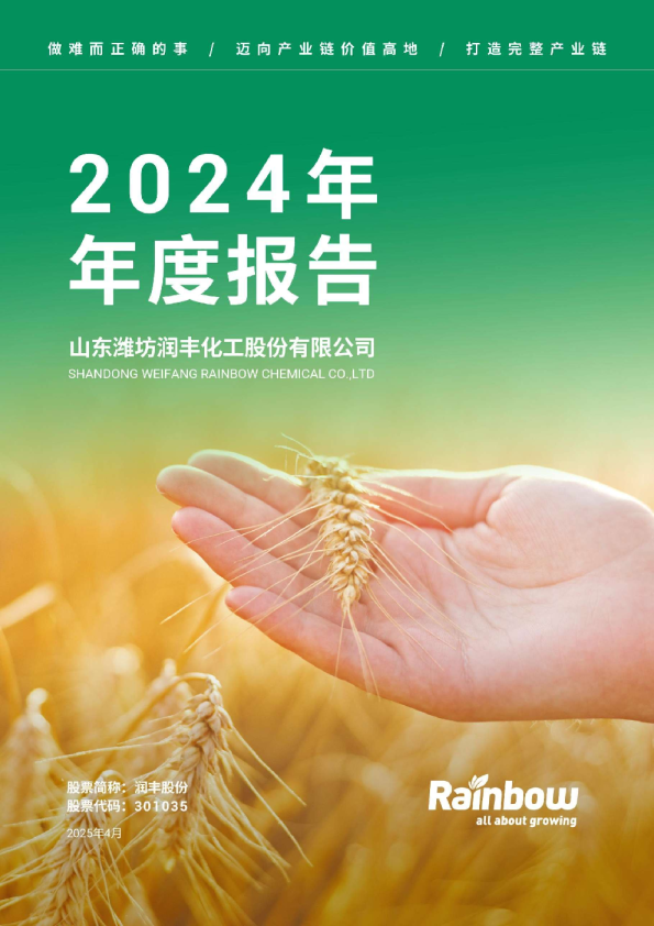 润丰股份：2024年年度报告