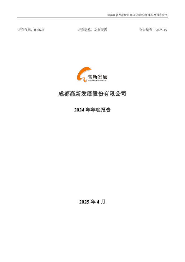 高新发展：2024年年度报告