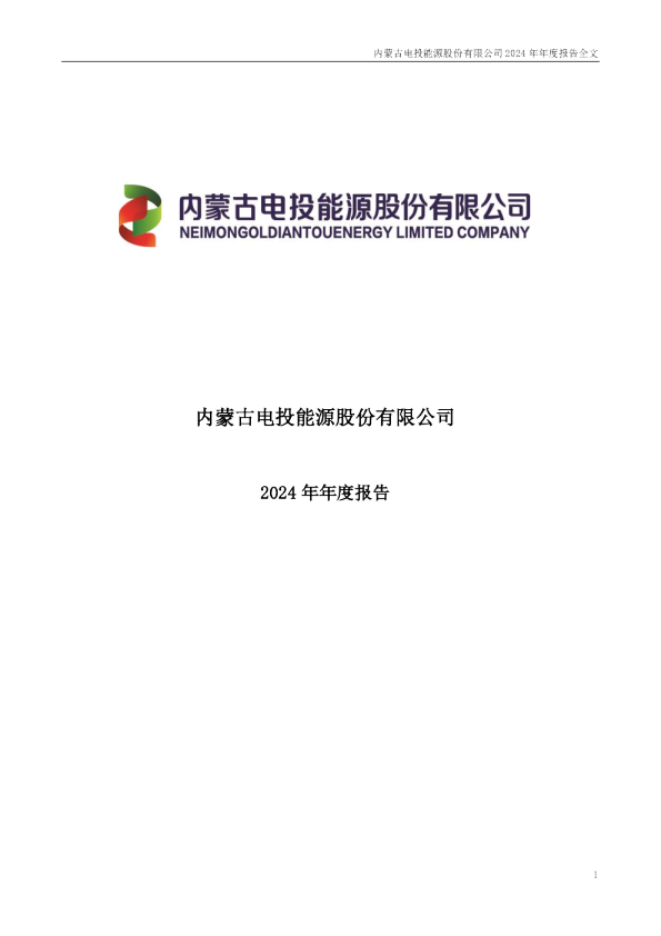 电投能源：2024年年度报告