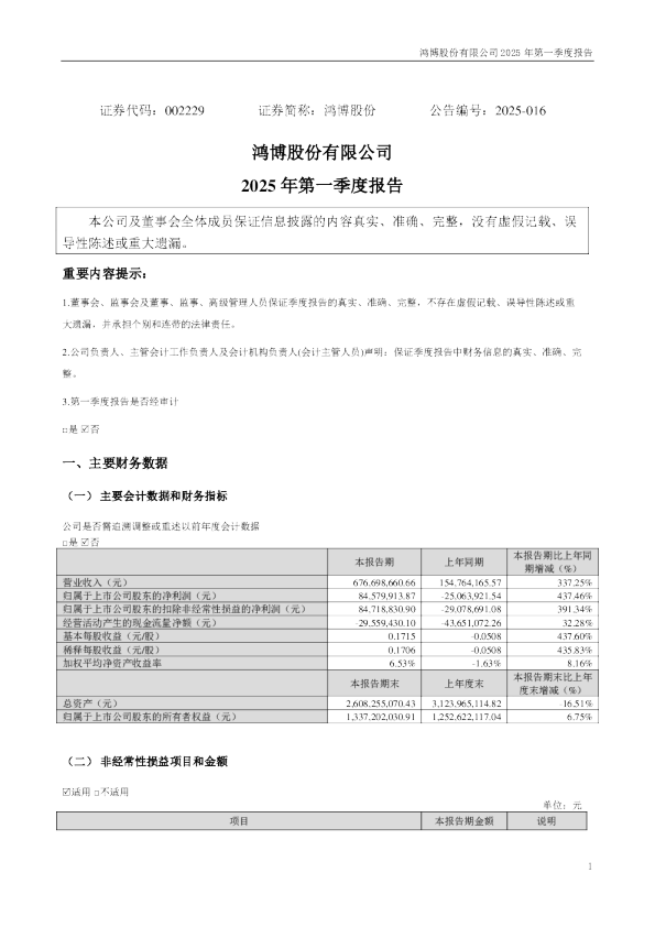 鸿博股份：2025年一季度报告