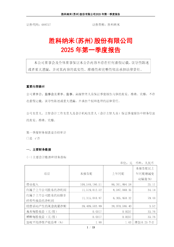 胜科纳米：胜科纳米2025年第一季度报告