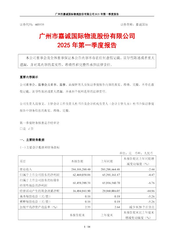 嘉诚国际：2025年第一季度报告