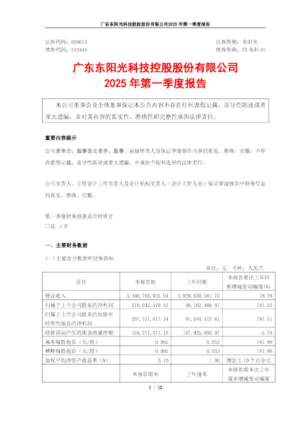 东阳光：东阳光2025年第一季度报告