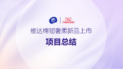 维达新品上市项目总结