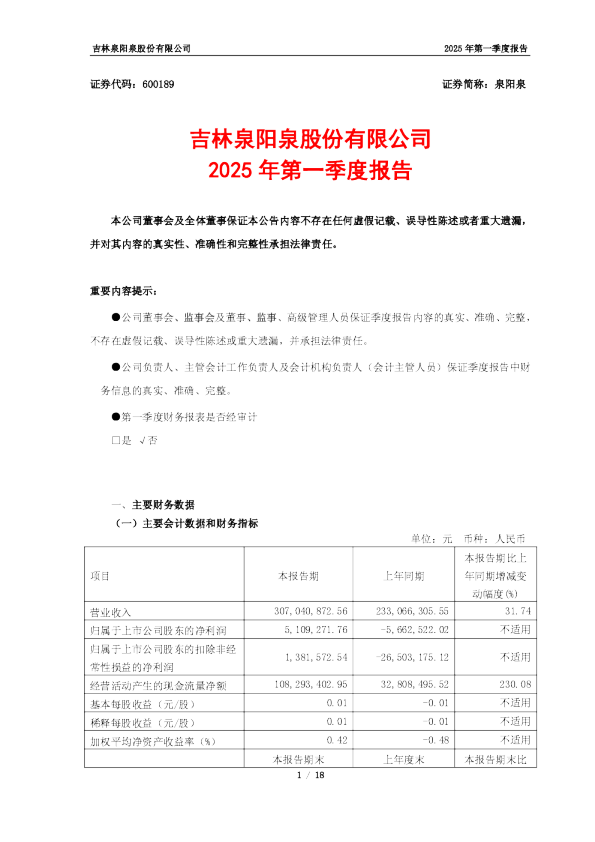 《2025年第一季度报告》