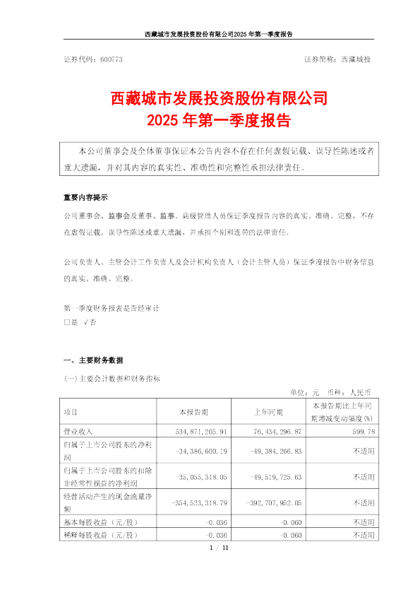 西藏城市发展投资股份有限公司2025年第一季度报告