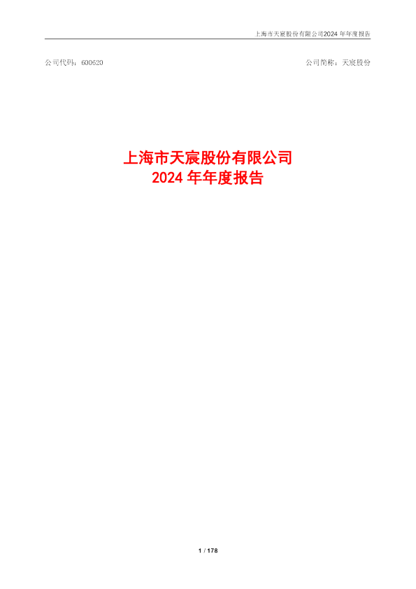 天宸股份：上海市天宸股份有限公司2024年年度报告