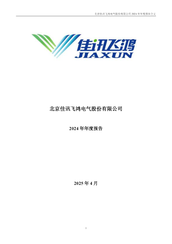 佳讯飞鸿：2024年年度报告