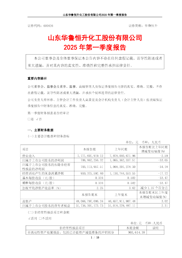 华鲁恒升：华鲁恒升2025年一季度报告