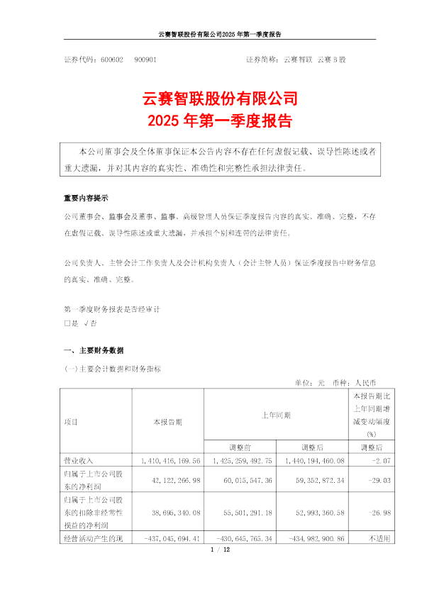 云赛智联:云赛智联2025年第一季度报告