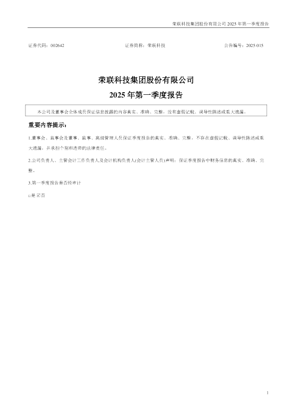 荣联科技：2025年一季度报告