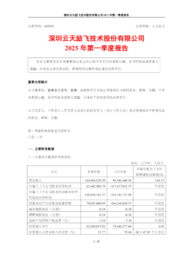 云天励飞:2025年第一季度报告