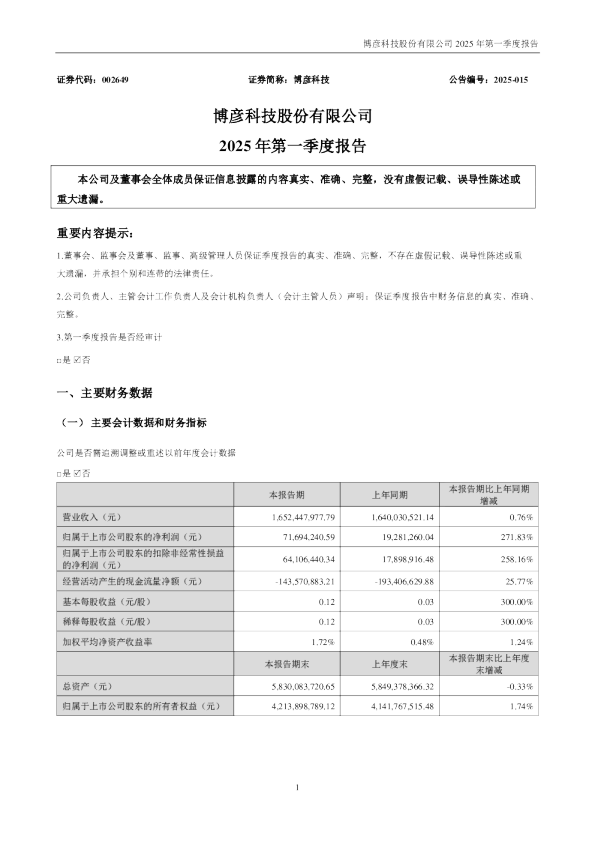 博彦科技：2025年一季度报告
