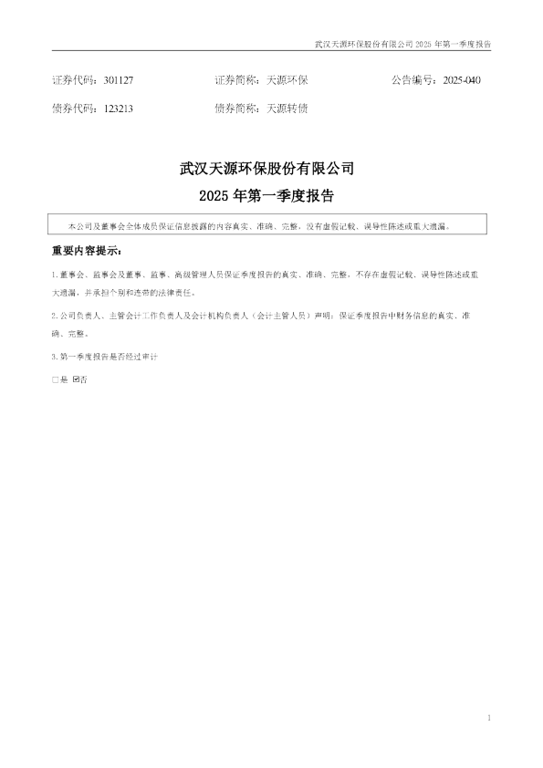 天源环保：2025年一季度报告