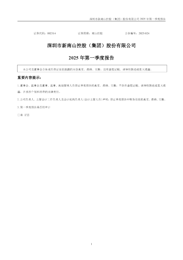 南山控股：2025年一季度报告