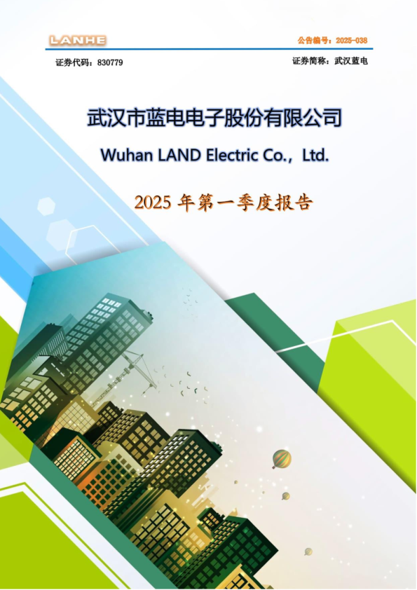 武汉蓝电:2025年一季度报告