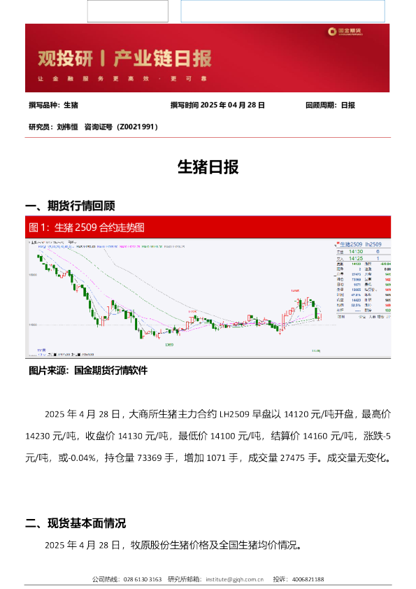 生猪日报