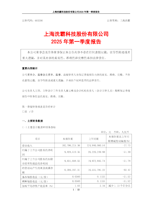上海洗霸科技股份有限公司2025年第一季度报告