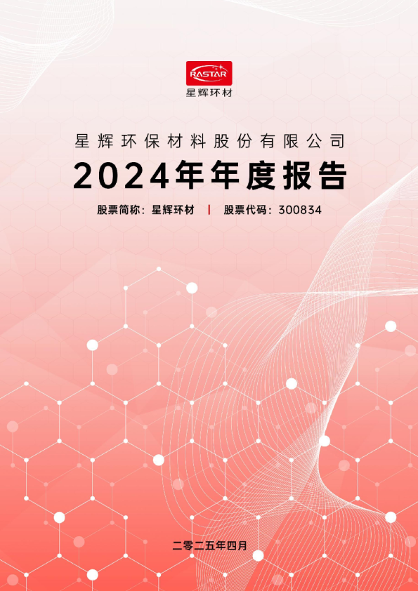 星辉环材：2024年年度报告