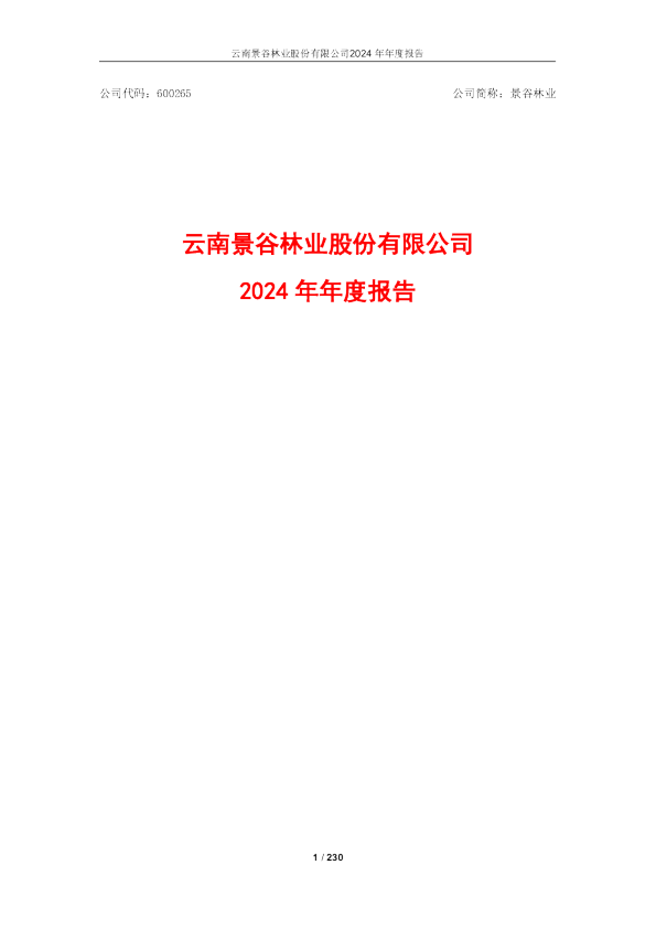 景谷林业：2024年年度报告